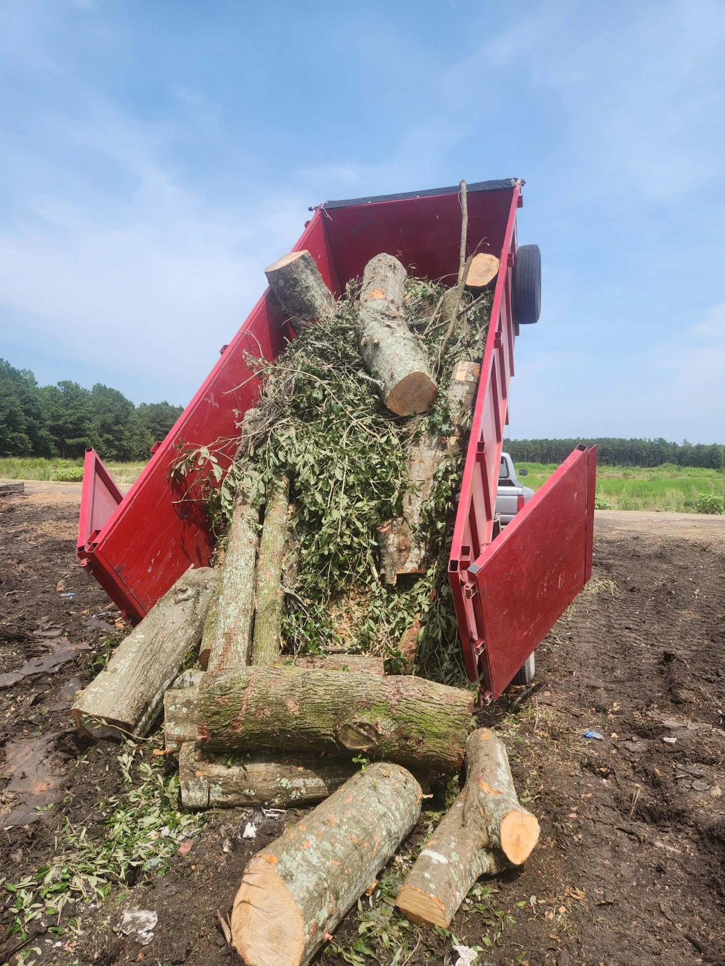 logs-in-trailer-2-_3_-_1_
