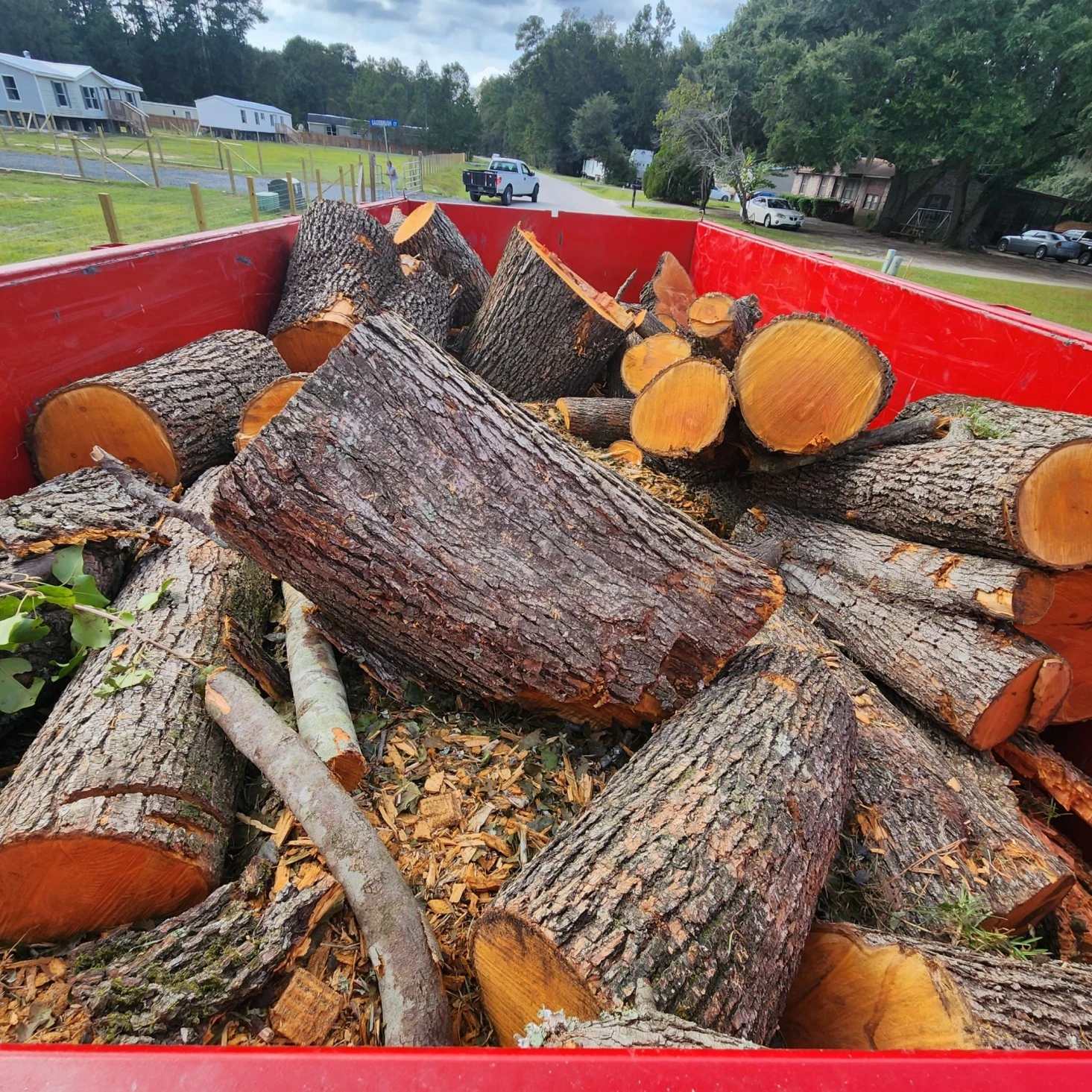 logs-in-trailer-_1_-_1_