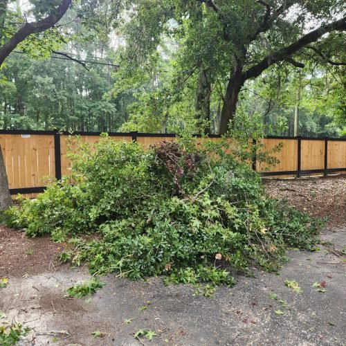 Yard debris 1